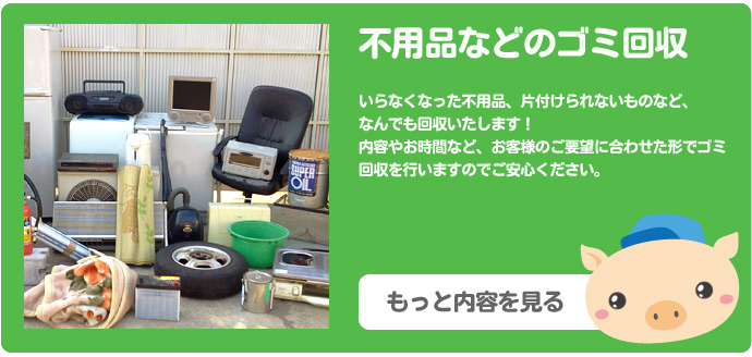 �s�p�i�E�S�~�̉��